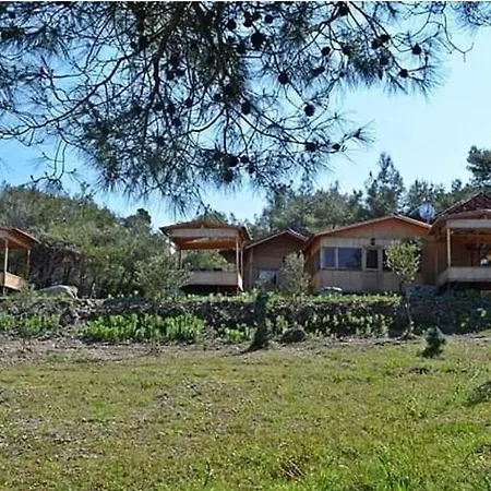 Kara Dere Park Orman Karadere (Aegean)